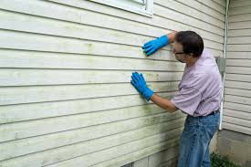 Best Siding Painting and Refinishing  in Calumet City, IL